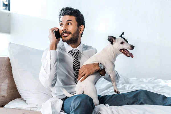 Bi-racial empresário segurando Jack Russell Terrier e falando no smartphone de manhã — Fotografia de Stock