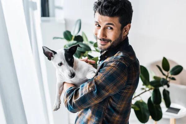 Smiling and handsome bi-racial man holding Jack Russell Terrier — Stock Photo