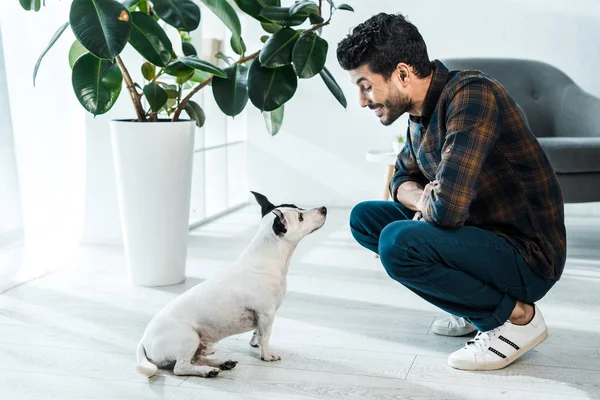 Vista lateral de guapo bi-racial hombre sonriendo y mirando jack russell terrier - foto de stock