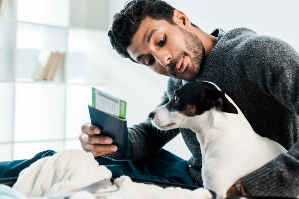 Bonito bi-racial homem olhando para jack russell terrier e segurando passaporte com passagem aérea — Fotografia de Stock