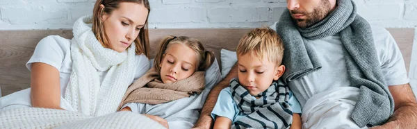 Panoramic shot of sick family in warm scarfs lying in bed under blankets — Stock Photo