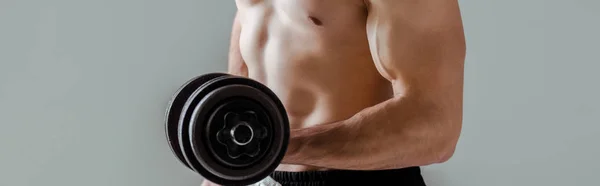 Cropped view of sexy muscular bodybuilder with bare torso exercising with dumbbell isolated on grey, panoramic shot — Stock Photo