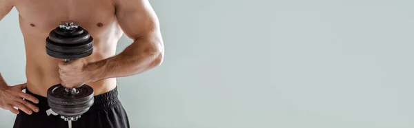Vista recortada de culturista muscular sexy con torso desnudo haciendo ejercicio con mancuerna aislada en gris, tiro panorámico - foto de stock