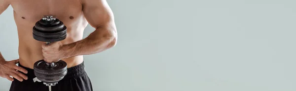 Cropped view of sexy muscular bodybuilder with bare torso exercising with dumbbell isolated on grey, panoramic shot — Stock Photo