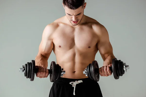 Sexy muscular bodybuilder with bare torso exercising with dumbbells isolated on grey — Stock Photo
