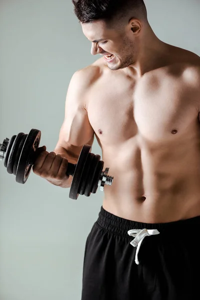 Sexy muscular bodybuilder with bare torso exercising with dumbbell isolated on grey — Stock Photo