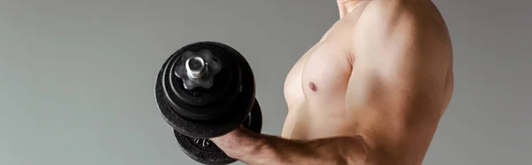 Vista parcial de culturista muscular sexy con torso desnudo ejercitando con mancuerna aislada en gris, plano panorámico - foto de stock