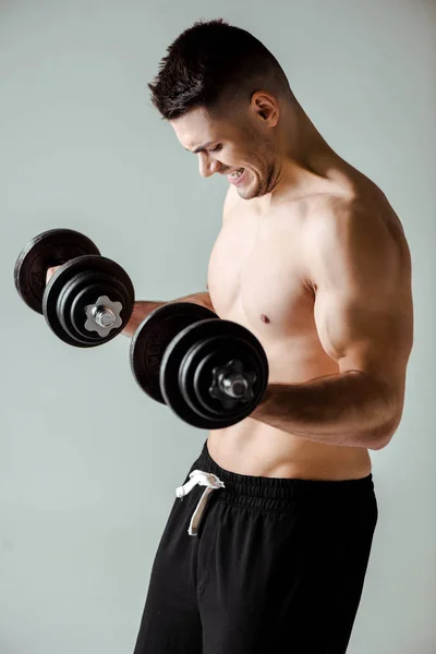 Sexy muscular bodybuilder with bare torso exercising with dumbbells isolated on grey — Stock Photo