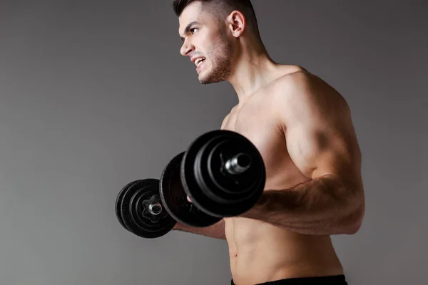 Sexy muscular bodybuilder with bare torso exercising with dumbbells isolated on grey — Stock Photo