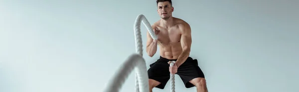 Selektiver Fokus des sexy muskulösen Bodybuilders mit nacktem Oberkörper beim Training mit dem Kampfseil auf grauem Hintergrund, Panoramaaufnahme — Stockfoto