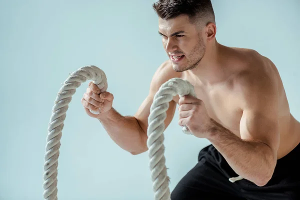 Sexy muscular bodybuilder with bare torso exercising with battle rope isolated on grey — Stock Photo