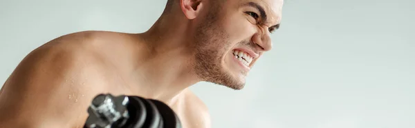 Angespannter muskulöser Bodybuilder mit nacktem Oberkörper beim Training mit Hantel isoliert auf grauem, panoramischem Foto — Stockfoto