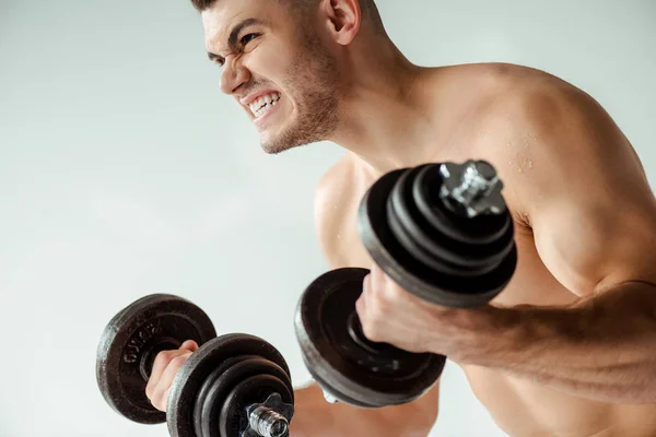 Tense muscular bodybuilder with bare torso working out with dumbbells isolated on grey — Stock Photo