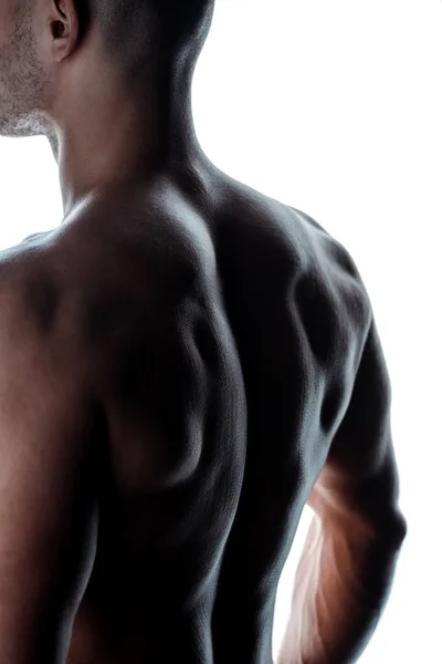 Sexy bodybuilder with muscular back in shadow isolated on white — Stock Photo