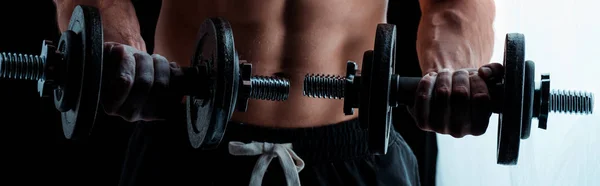 Cropped view of sexy muscular bodybuilder with bare torso exercising with dumbbells, panoramic shot — Stock Photo