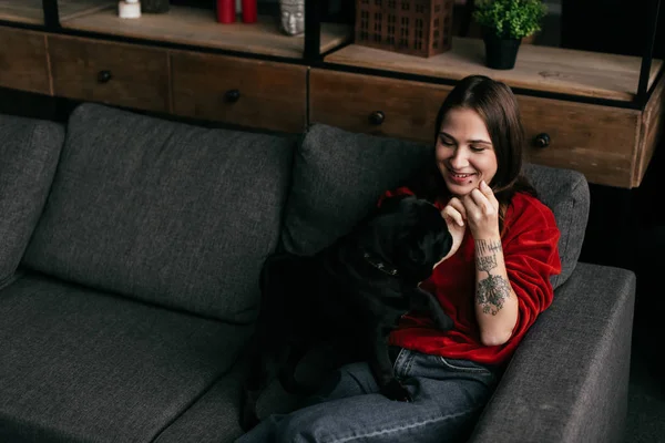 Улыбающаяся девушка играет с мопсом на диване в гостиной — стоковое фото