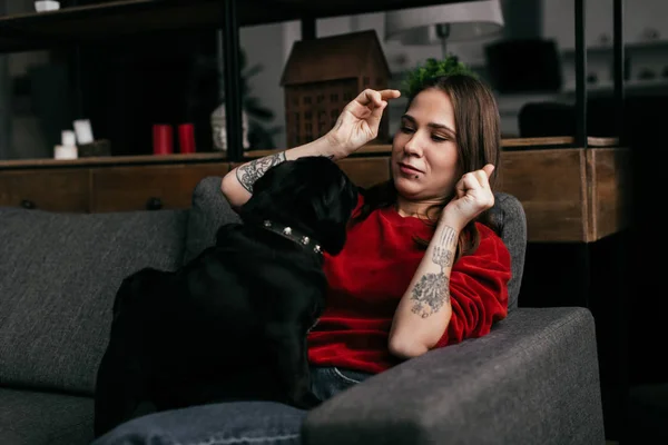 Молода жінка грає з мопсом собакою на дивані вдома — стокове фото