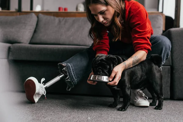 Menina com prótese perna alimentação pug cão na sala de estar — Fotografia de Stock