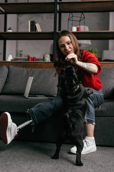 Молода жінка з протезною ногою годує мопса собаку у вітальні — стокове фото