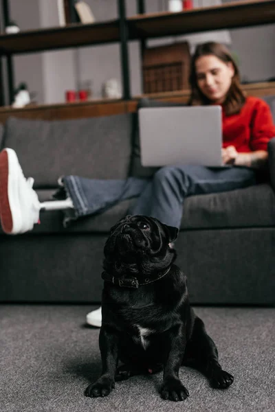 Selective focus of pug sitting by woman with prosthetic leg and laptop on sofa — Stock Photo