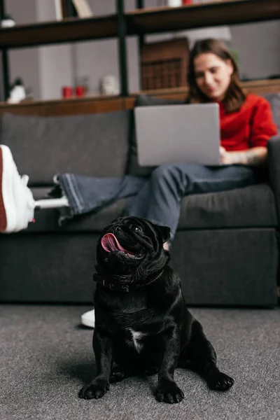 Selective focus of funny pug sitting by woman with prosthetic leg and laptop on sofa — Stock Photo