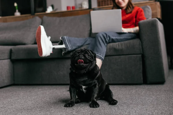 Selective focus of funny pug sitting by girl with prosthetic leg and laptop in living room, cropped view — Stock Photo