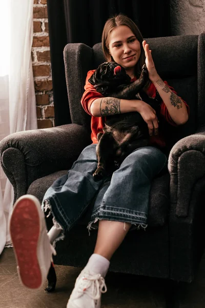 Усміхнена дівчина з протезною ногою висотою п'ять до мопса собаки в кріслі у вітальні — стокове фото