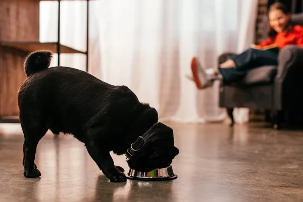 Foco seletivo de pug comer de tigela e menina com livro de leitura de perna protética em poltrona — Fotografia de Stock