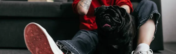 Vista ritagliata del cane carlino seduto accanto alla donna con gamba protesica sul pavimento a casa, colpo panoramico — Foto stock