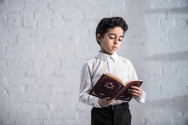 Cute jewish boy in white shirt reading tanakh — Stock Photo