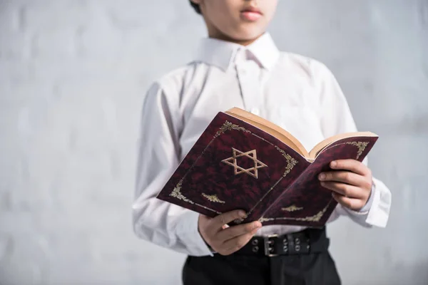 Vista cortada do menino judeu na camisa leitura tanakh — Fotografia de Stock