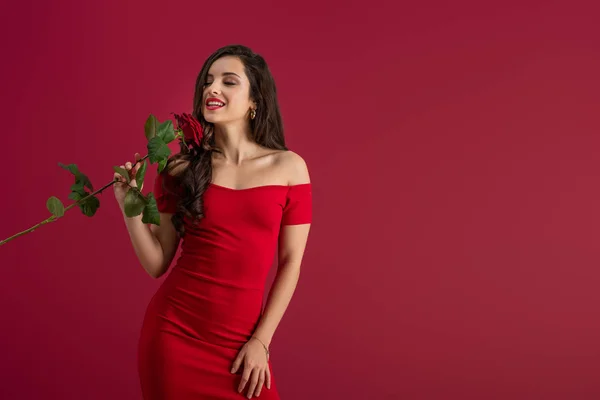 Seductive, elegant girl enjoying flavor of red rose with closed eyes isolated on red — Stock Photo