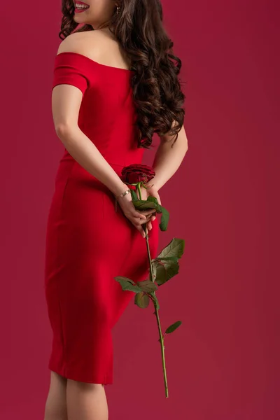 Вид сзади на сексуальную, элегантную девушку, держащую красную розу и улыбающуюся изолированно на красном — стоковое фото