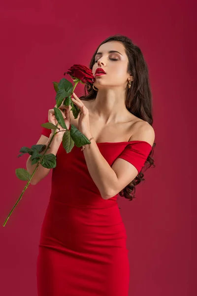 Sexy, elegant girl enjoying flavor of red rose with closed eyes isolated on red — Stock Photo