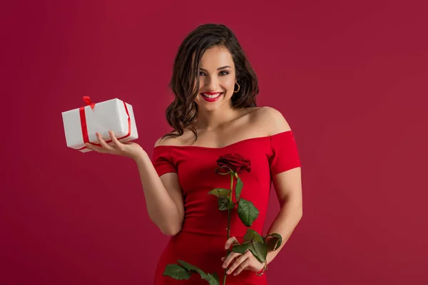Seductora y elegante chica sosteniendo rosa y caja de regalo mientras sonríe a la cámara aislada en rojo - foto de stock