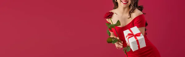 Vue recadrée d'une fille souriante et élégante tenant une rose et une boîte-cadeau isolée sur une photo panoramique rouge — Photo de stock