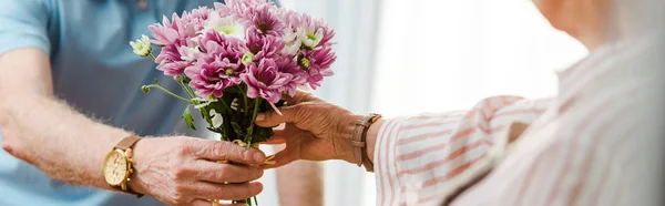Vue recadrée d'un homme âgé donnant un bouquet de chrysanthèmes à sa femme, plan panoramique — Photo de stock