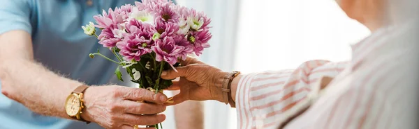 Ausgeschnittene Ansicht eines älteren Mannes, der seiner Frau einen Strauß Chrysanthemen schenkt, Panoramaaufnahme — Stockfoto