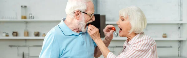 Vista lateral do casal sênior alimentando-se uns aos outros com tomates cereja na cozinha, tiro panorâmico — Fotografia de Stock
