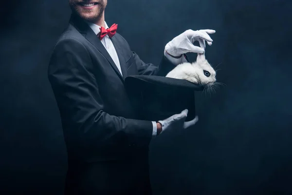 Vista recortada de mago sonriente mostrando truco con conejo blanco en sombrero, en habitación oscura con humo - foto de stock
