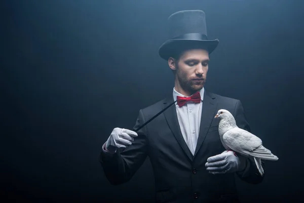 Young magician in hat showing trick with dove and wand in dark room with smoke — Stock Photo