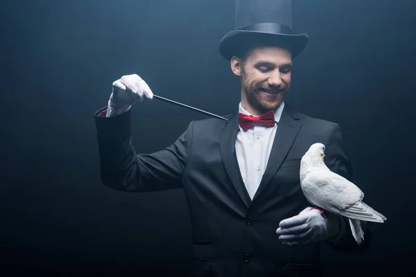 Happy magician in hat making abracadabra with dove and wand in dark room with smoke — Stock Photo