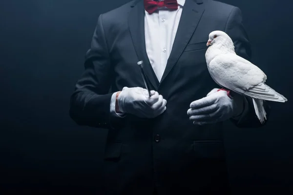 Vue recadrée du magicien tenant colombe et baguette isolée sur noir — Photo de stock