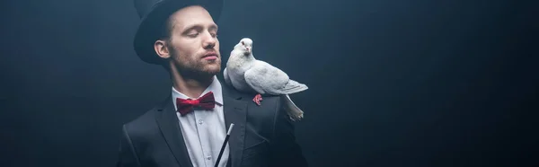 Panoramic shot of dove sitting on shoulder of magician in hat with wand in dark room with smoke — Stock Photo