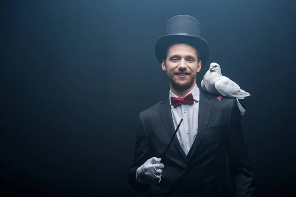 Dove sitting on shoulder of cheerful magician in hat with wand in dark room with smoke — Stock Photo