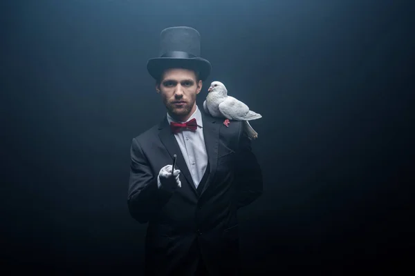 Dove sitting on shoulder of young magician in hat with wand in dark room with smoke — Stock Photo