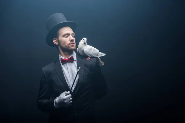 Dove sitting on shoulder of magician in hat with wand in dark room with smoke — Stock Photo