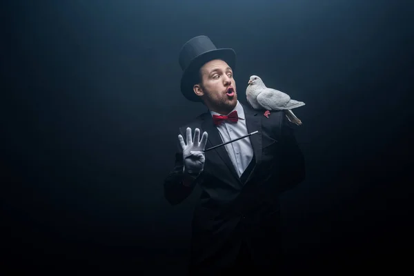 Excited magician with open mouth showing trick with dove and wand in dark room with smoke — Stock Photo