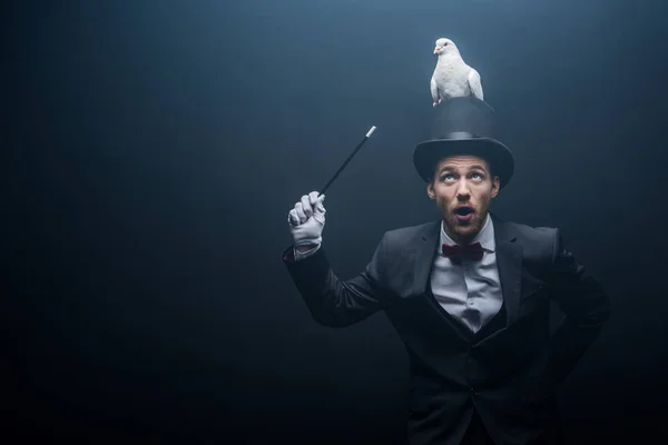 Emotional magician in hat showing trick with dove and wand in dark room with smoke — Stock Photo