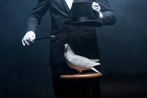 Vista recortada de mago mostrando truco con paloma, varita y sombrero en habitación oscura con humo - foto de stock